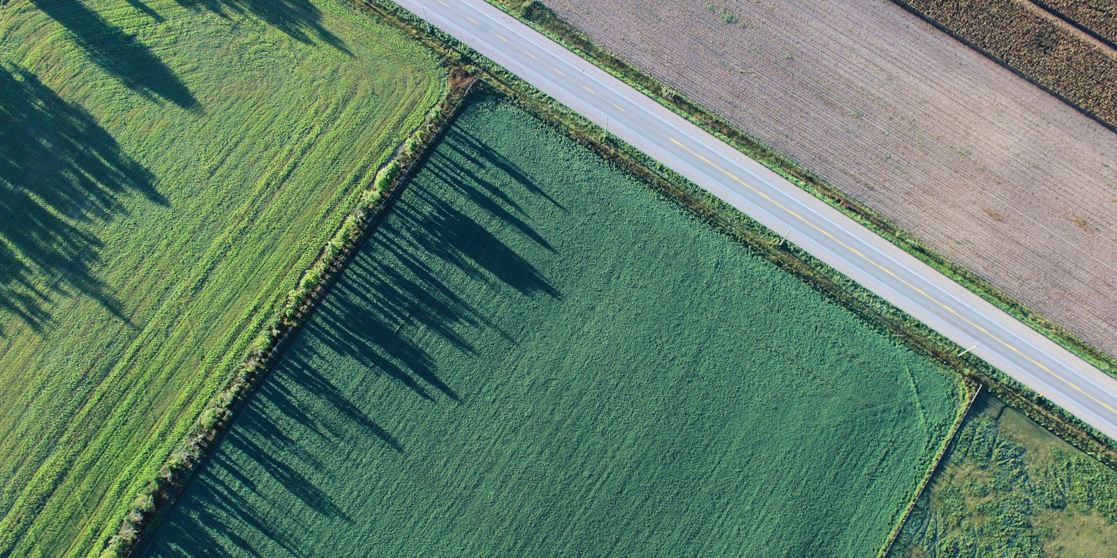 녹색 농지 항공 사진